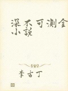 深不可测金银花小说