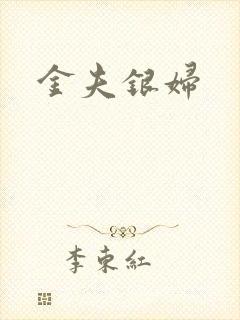 金夫银妇封面