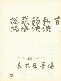 总裁的私有宝贝祸水泱泱