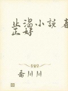 止渴小说 春光正好封面