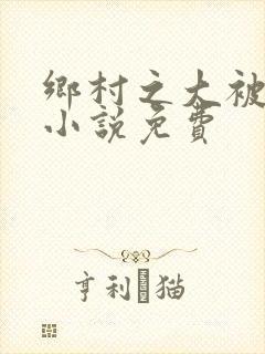 乡村之大被同眠小说免费