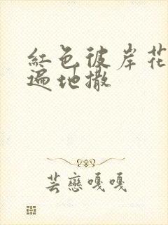 红色彼岸花花瓣遍地撒