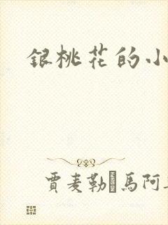 银桃花的小说