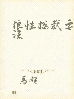 狼性总裁要够了没
