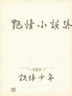 艳情小说集封面