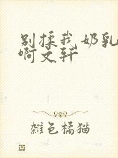别揉我奶乳嗯～啊文轩
