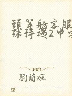 头等舱客服的特殊待遇2中字