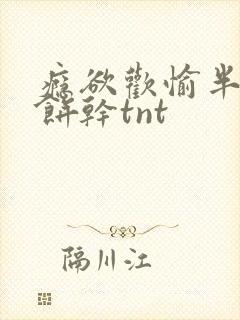 瘾欲欢愉半块小饼干tnt封面