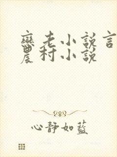 恋老小说言情网农村小说