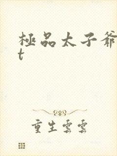 极品太子爷txt封面