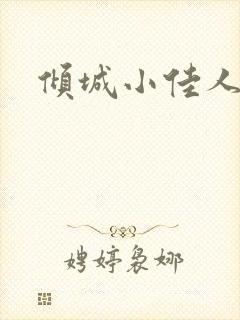 倾城小佳人封面