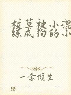 校草被小混混训练成狗的小说