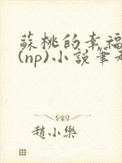 苏桃的幸福生活(np)小说笔趣阁沐沐