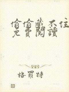 偷偷藏不住小说免费阅读