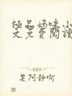 极品妈咪小说全文免费阅读封面