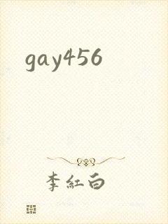 gay456封面