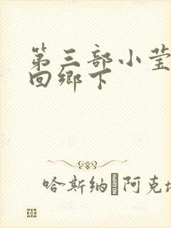 第三部小莹乱翁回乡下