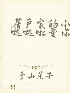 屠户家的小娇花哒哒啦爱你封面