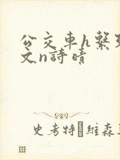 公交车h系列辣文n诗晴