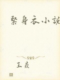 紧身衣小说封面