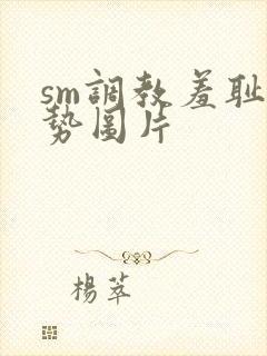 sm调教羞耻姿势图片