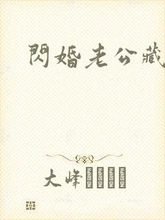 闪婚老公藏不住