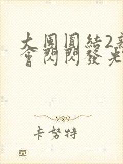 大团圆结2亲情会闪闪发光亲情会2封面