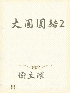 大团圆结2封面