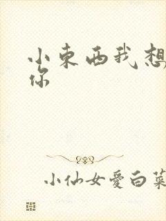 小东西我想弄坏你封面