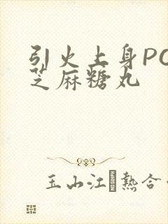 引火上身POP芝麻糖丸