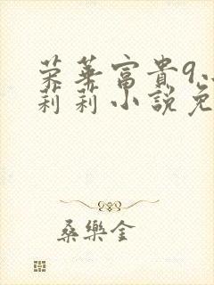 荣华富贵9小王莉莉小说免费阅读封面