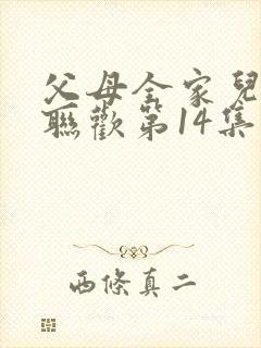 父母全家儿女大联欢第14集封面