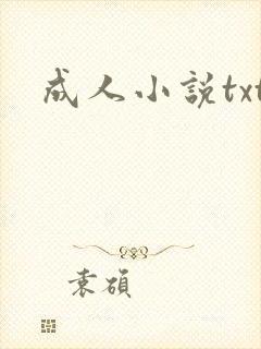 成人小说txt封面