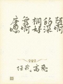 唐舞桐的堕落H嗯啊好深啊封面