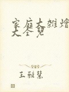 家庭大杂烩小说大全儿