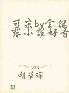 可宋by金银花露小说好看吗