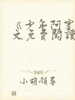 《少年阿宾》全文免费阅读