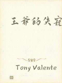 王爷的失宠冷妃封面