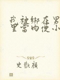 我被绑在男公厕里当肉便小说封面