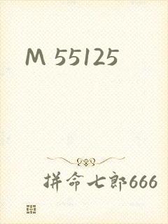 M 55125封面