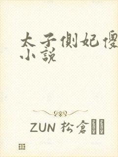 太子侧妃傻乎乎小说