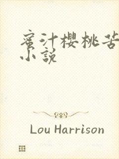 蜜汁樱桃苦咖啡小说