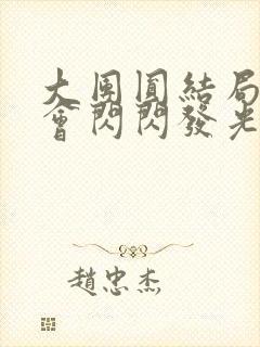 大团圆结局亲情会闪闪发光封面