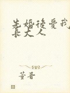 先婚后爱我的市长大人封面