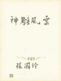 神雕风云