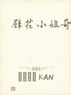 壁花小姐奇遇记封面