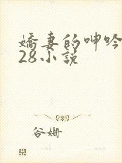 娇妻的呻吟1—28小说