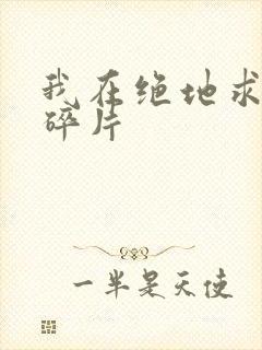 我在绝地求生捡碎片封面