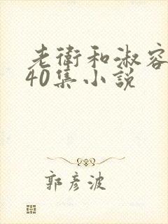 老卫和淑容1-40集小说封面