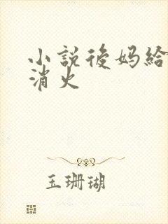 小说后妈给我消消火